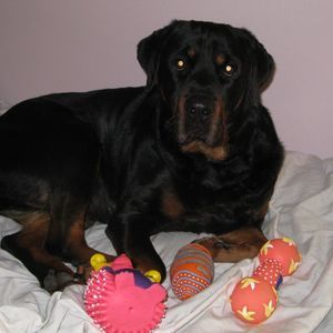 Meet your Posher, Annette